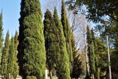 Windspielreise 2015 (Brigitte) - 157