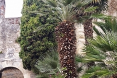 Windspielreise 2015 (Brigitte) - 16