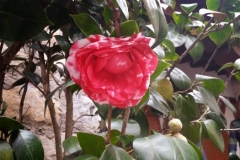 Windspielreise 2015 (Brigitte) - 17