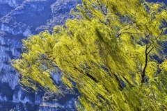 Windspielreise 2015 (Brigitte) - 183