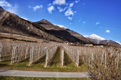 Windspielreise 2015 (Brigitte) - 84